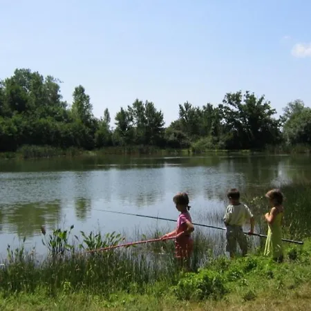Le Puy Babin Familiales A La Ferme Saint-Mathurin (Vendee)