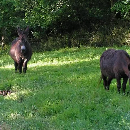 فندق مبيت وإفطار Le Puy Babin Familiales A La Ferme