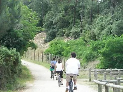Le Puy Babin Familiales A La Ferme 3*