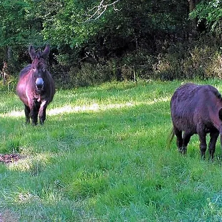 Frühstückspension Le Puy Babin Familiales A La Ferme 3*