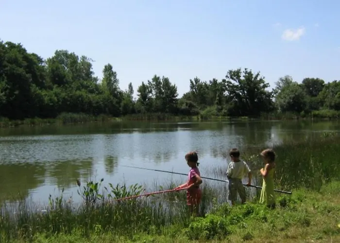 Le Puy Babin Familiales A La Ferme Saint-Mathurin (Vendee)