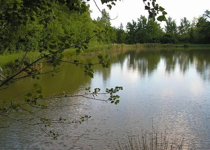 Le Puy Babin Familiales A La Ferme Couette-café